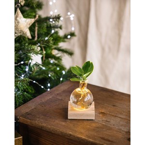 Duo samoa- hydroculture