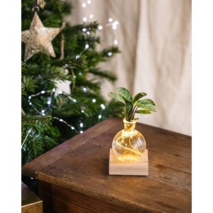 Duo samoa- hydroculture