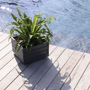 Bac à fleurs carré en bois first