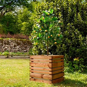 Bac à fleurs carré teinté brun lign z