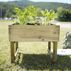 Carré potager pour enfants sacha