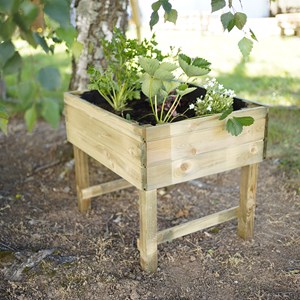 Carré potager pour enfants sacha