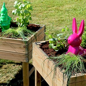 Carré potager pour enfants sacha