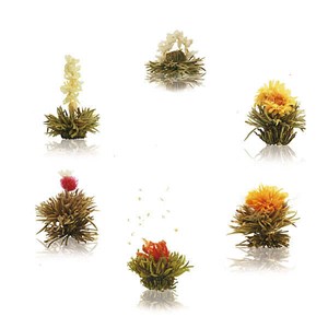 Coffret 6 fleurs de thé blanc