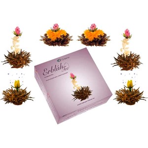 Coffret 6 fleurs de thé noir