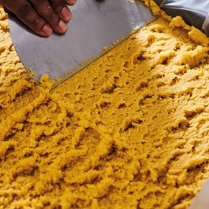 Calissons d'aix léonard parli