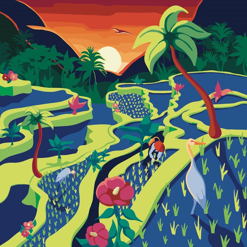 Peinture à numéro avec cadre 30x