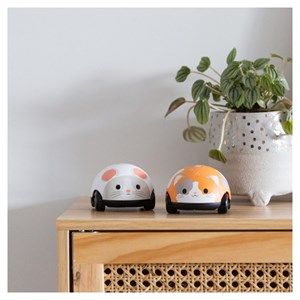 Zoomies tiger tribe beige