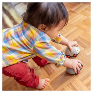 Zoomies tiger tribe marron