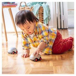 Zoomies tiger tribe marron