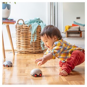 Zoomies tiger tribe marron