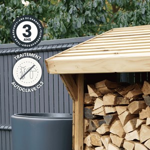 Abri bûches en bois traité olbia